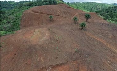 Se vende finca de 5 has con proyecto completo en Pedasí