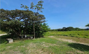 Se vende finca de 10 hectáreas en Penonomé, Vía Cañaveral