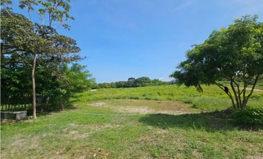 Se vende finca de 10 hectáreas en Penonomé, Vía Cañaveral