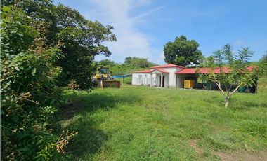 Se vende finca de 10 hectáreas en Penonomé, Vía Cañaveral