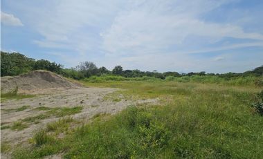 Se vende finca de 10 hectáreas en Penonomé, Vía Cañaveral