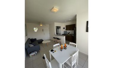 ALQUILO APARTAMENTO EN LA PLAYA