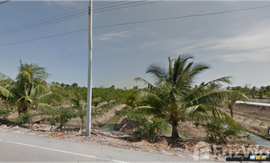 Land for sale in Khlong Yong, Nakhon Pathom