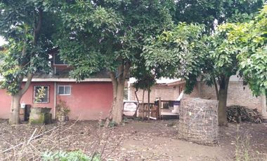 L-55/La Quinta Longavi - Parcela - Venta