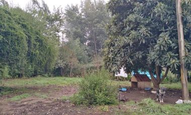 L-55/La Quinta Longavi - Parcela - Venta