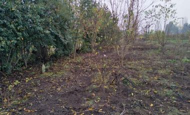 L-55/La Quinta Longavi - Parcela - Venta