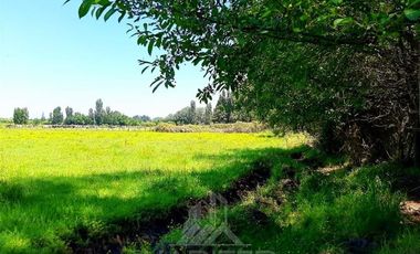 Parcela en Venta en Sector Pedregal a tres km del cruces tres esquinas