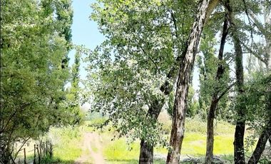 Parcela en Venta en Sector Pedregal a tres km del cruces tres esquinas