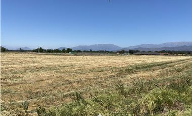 VENTA PARCELAS ISLA DE MAIPO - LAS PALMERAS DE LONQUÉN