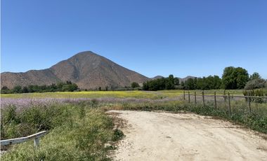 VENTA PARCELAS ISLA DE MAIPO - LAS PALMERAS DE LONQUÉN
