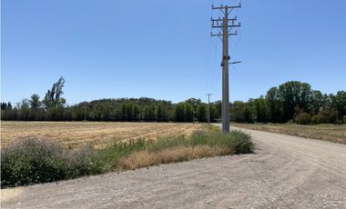 VENTA PARCELAS ISLA DE MAIPO - LAS PALMERAS DE LONQUÉN