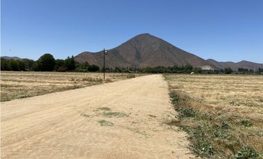 VENTA PARCELAS ISLA DE MAIPO - LAS PALMERAS DE LONQUÉN