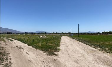 VENTA PARCELAS ISLA DE MAIPO - LAS PALMERAS DE LONQUÉN