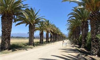 VENTA PARCELAS ISLA DE MAIPO - LAS PALMERAS DE LONQUÉN