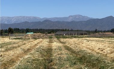 VENTA PARCELAS ISLA DE MAIPO - LAS PALMERAS DE LONQUÉN