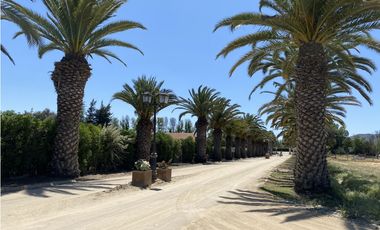 VENTA PARCELAS ISLA DE MAIPO - LAS PALMERAS DE LONQUÉN