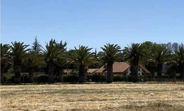 VENTA PARCELAS ISLA DE MAIPO - LAS PALMERAS DE LONQUÉN
