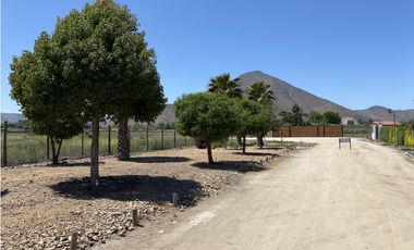 VENTA PARCELAS ISLA DE MAIPO - LAS PALMERAS DE LONQUÉN