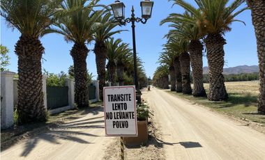 VENTA PARCELAS ISLA DE MAIPO - LAS PALMERAS DE LONQUÉN