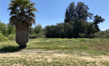 VENTA PARCELAS ISLA DE MAIPO - LAS PALMERAS DE LONQUÉN