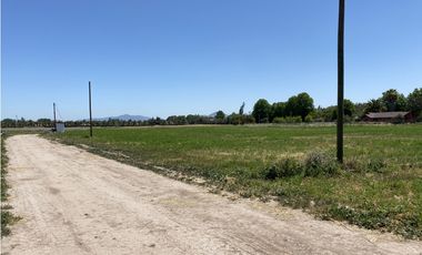 VENTA PARCELAS ISLA DE MAIPO - LAS PALMERAS DE LONQUÉN