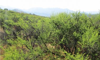 VENTA PARCELA HIJUELAS - OASIS DE LA CAMPANA