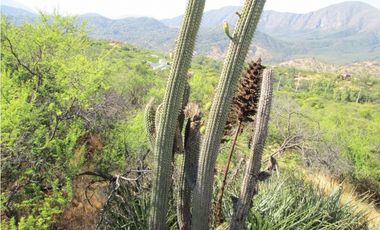 VENTA PARCELA HIJUELAS - OASIS DE LA CAMPANA