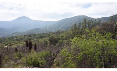 VENTA PARCELA HIJUELAS - OASIS DE LA CAMPANA