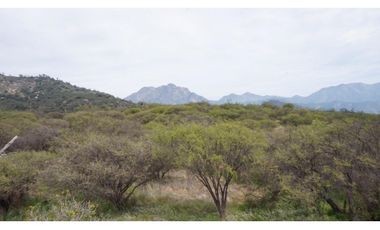 VENTA PARCELA HIJUELAS - OASIS DE LA CAMPANA