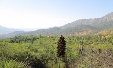 VENTA PARCELA HIJUELAS - OASIS DE LA CAMPANA