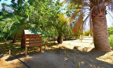 VENTA PARCELA HIJUELAS - OASIS DE LA CAMPANA