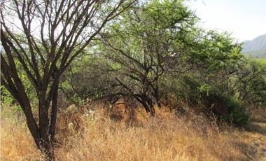 VENTA PARCELA HIJUELAS - OASIS DE LA CAMPANA