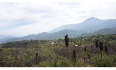 VENTA PARCELA HIJUELAS - OASIS DE LA CAMPANA