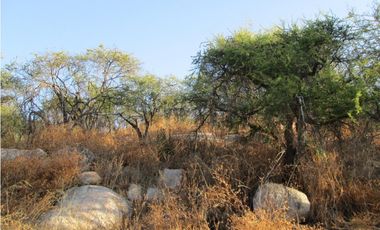VENTA PARCELA HIJUELAS - OASIS DE LA CAMPANA