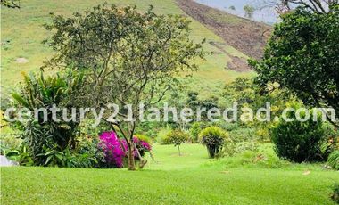 VENTA FINCA CON CASA CAMPESINA EN MARINILLA ANTIOQUIA Código 127378