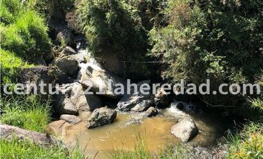 VENTA FINCA CON CASA CAMPESINA EN MARINILLA ANTIOQUIA Código 127378