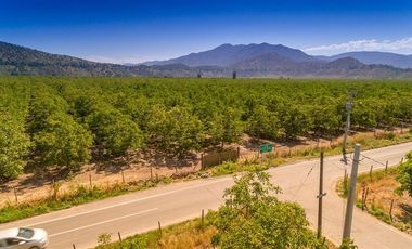 Parcela en Venta en camino el trigal