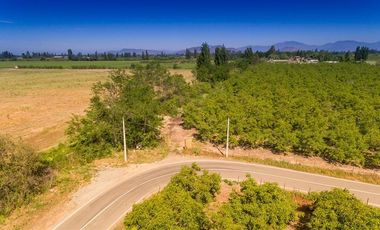 Parcela en Venta en camino el trigal