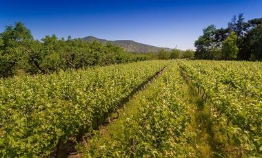 Parcela en Venta en camino el trigal
