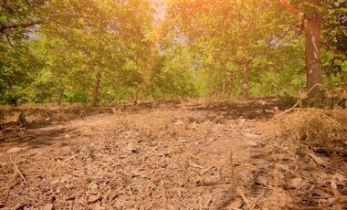 Parcela en Venta en camino el trigal