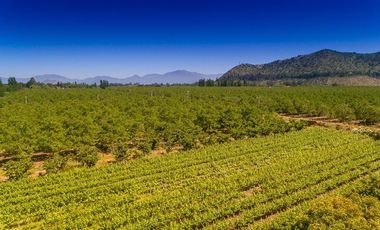 Parcela en Venta en camino el trigal