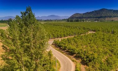 Parcela en Venta en camino el trigal