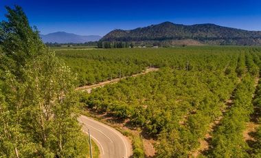 Parcela en Venta en camino el trigal