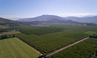 Parcela en Venta en camino el trigal