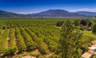 Parcela en Venta en camino el trigal