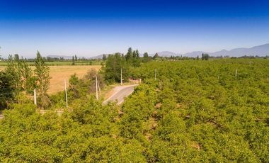 Parcela en Venta en camino el trigal