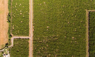 Parcela en Venta en camino el trigal