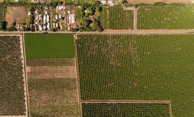 Parcela en Venta en camino el trigal