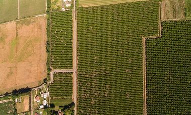 Parcela en Venta en camino el trigal