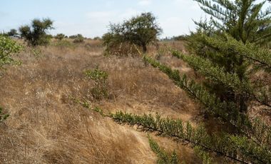 Regia Parcela  Condominio  Alto Pulin, Litueche